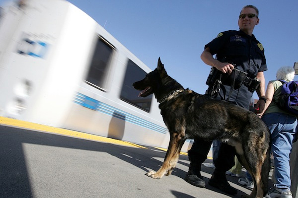 Would You Get Into A Barking Battle With A Police Dog?