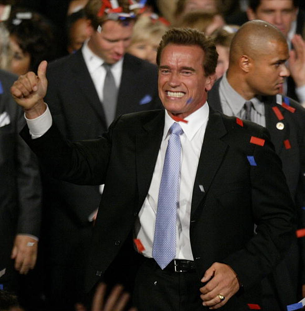Arnold Schwarzenegger Fathered Child with Staffer