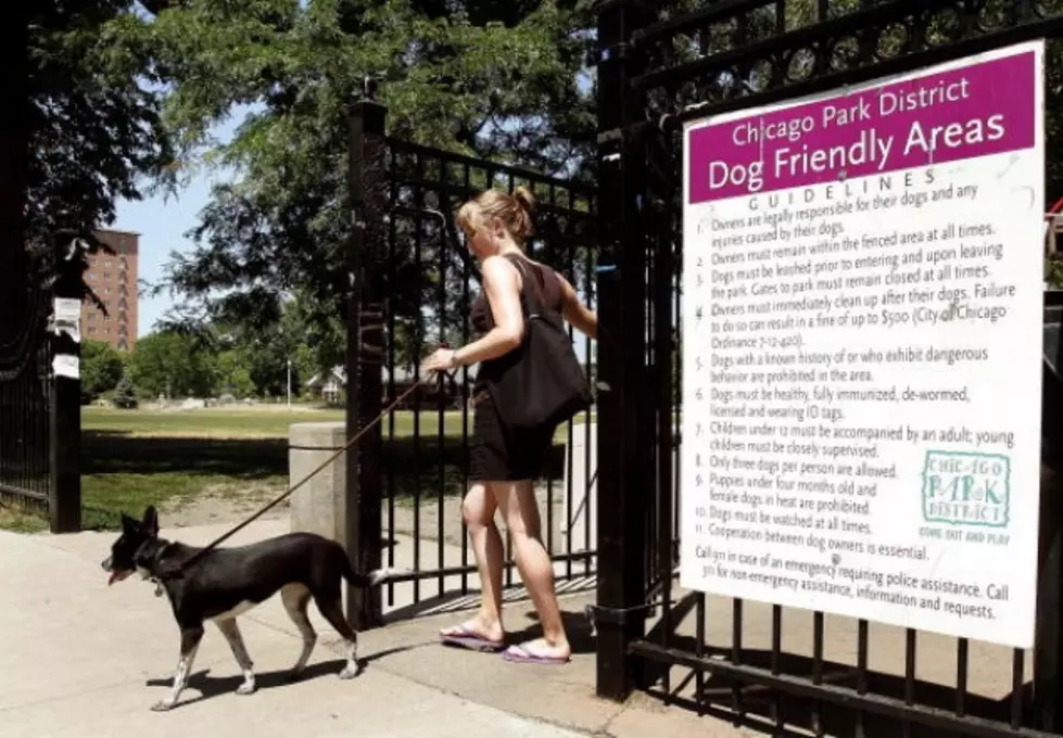 Flushing Resident Finalist For Dog Park Contest