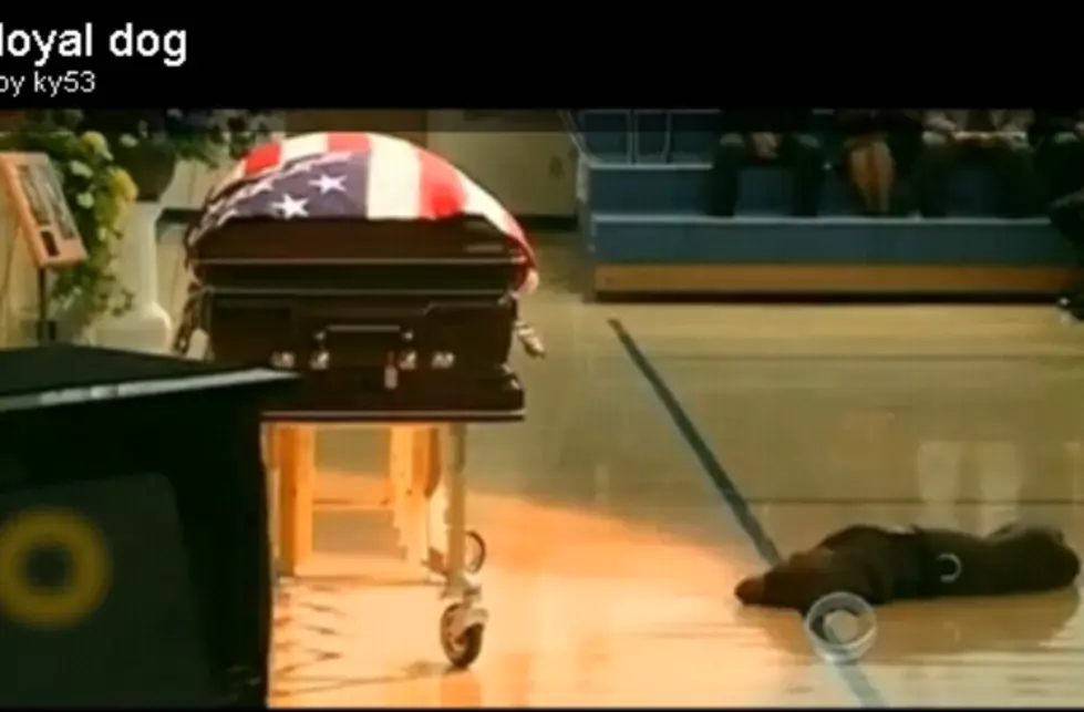 Dog Mourns Death of Navy Seal Master [Video]