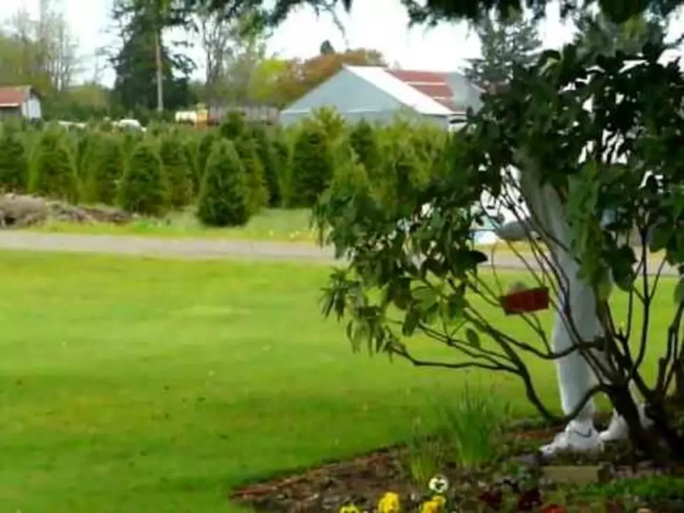 Some  Kids Get Completely Freaked Out By The Easter Bunny [VIDEO]