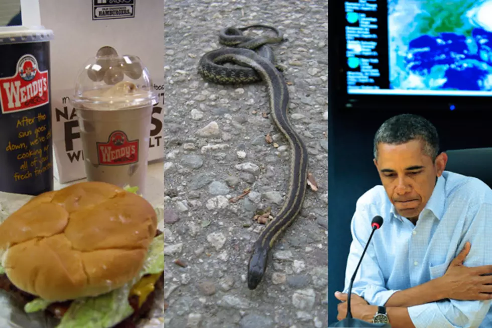 Pink Slime + Snake Warning Devices + Obama on Economics – Heller’s Monoblog
