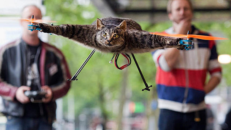 Man Turns His Dead Cat Into A Flying Helecopter Very Creepy [VIDEO]