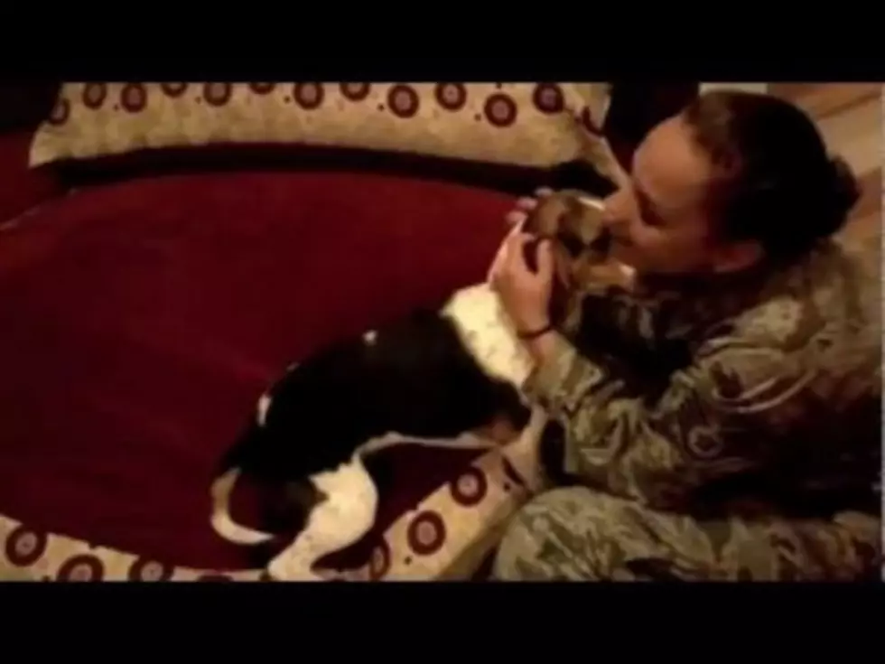 Dog Freaks Out When U.S. Airwoman Returns Home [VIDEO]