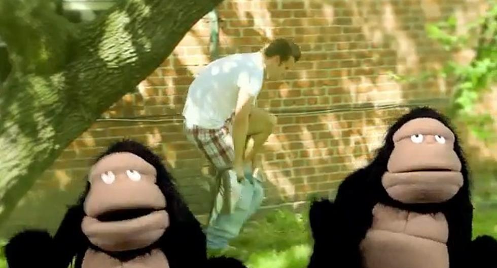 Monkeyin’ Around with ‘Call Me Maybe’ [VIDEO]