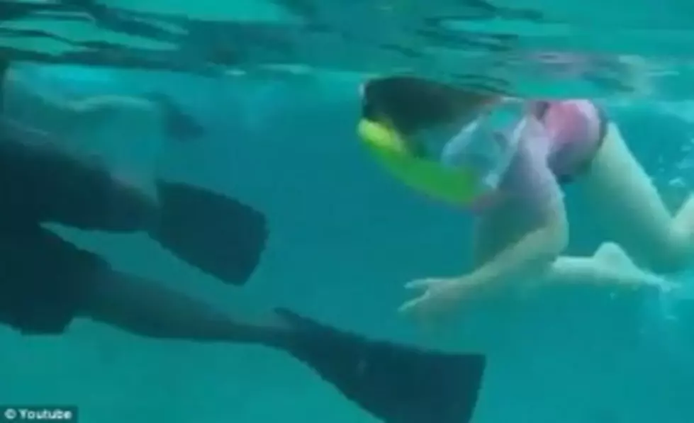 Parents Let Five-Year-Old Swim With The Sharks; Awesome Or Idiotic? [POLL][VIDEO]