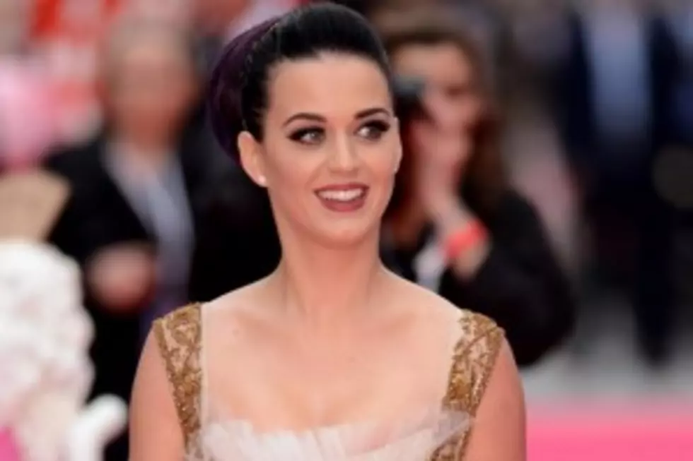 Katy Perry&#8217;s Parents to Host Michigan Youth Event