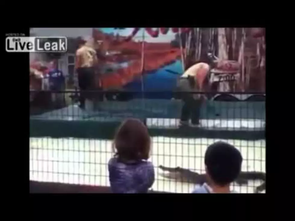 Gator Attacks Trainer At County Fair [VIDEO]