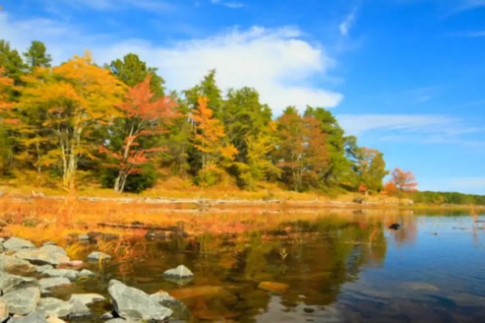 Time-Lapse Video Showcases Beauty of Fall in Michigan’s Upper Peninsula [VIDEO]