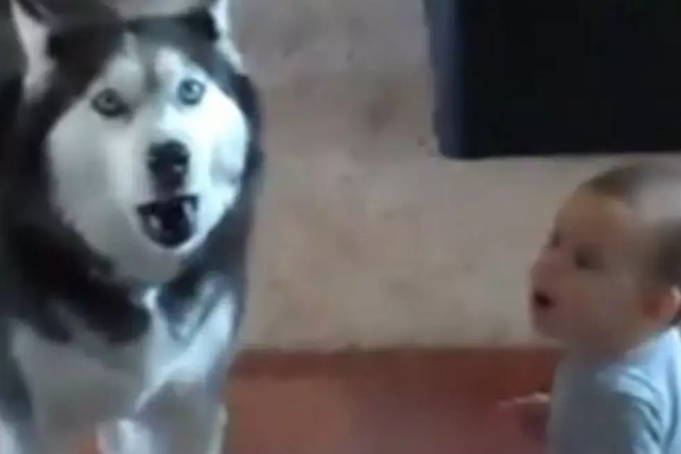Dog Imitating a Baby is 100 Percent Pure Awesome [VIDEO]