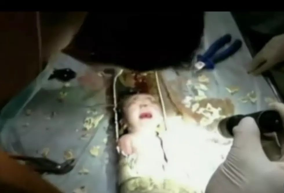 Two-Day-Old Baby Rescued From Sewage Pipe [VIDEO]