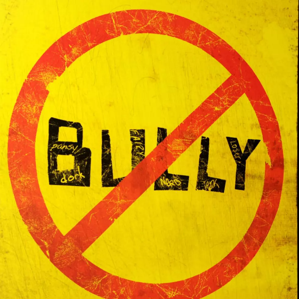 Parents of Chronic Bullies Face Fines in Wisconsin Community