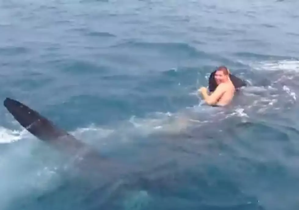 Florida Teen Rides 30-Foot Shark [VIDEO]