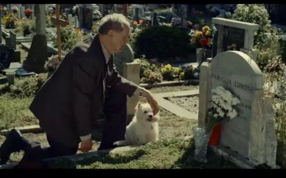 This Dog Food Commercial Is Moving People To Tears [Video]