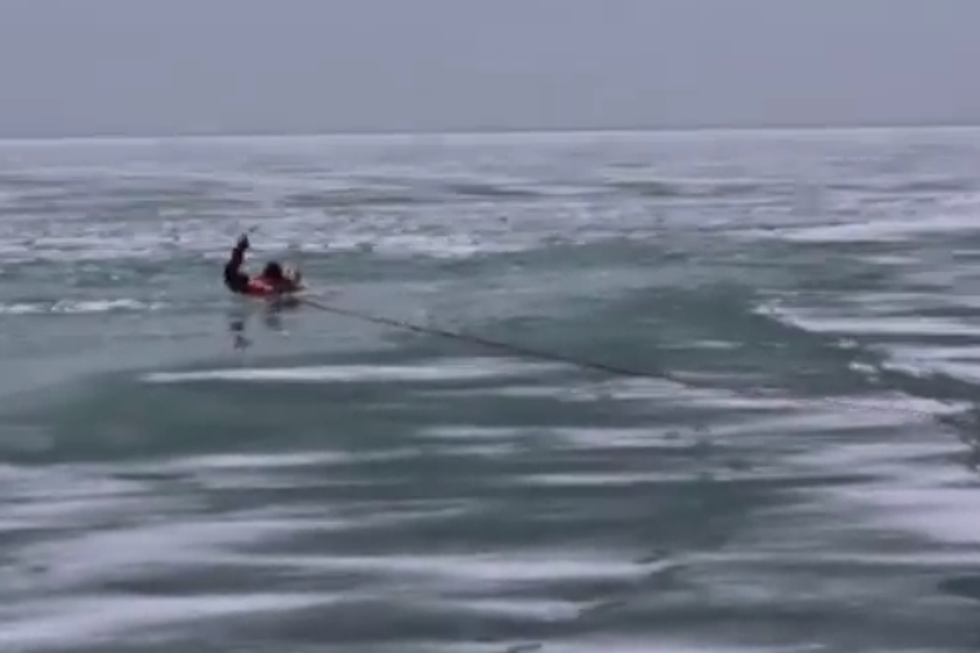 Firefighters Rescue Dog From Icy Lake Michigan [RAW VIDEO]