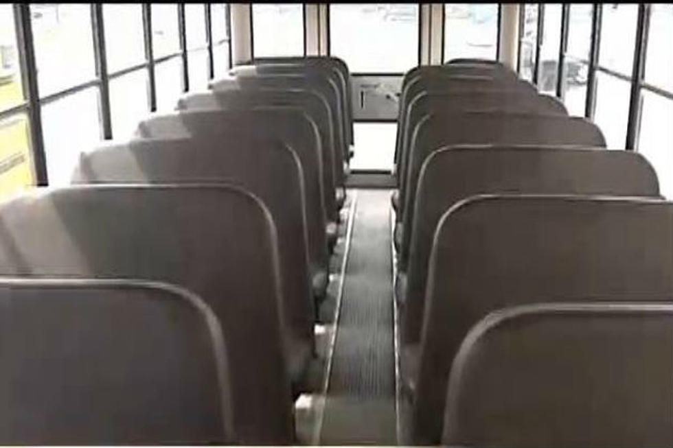 Lansing To Consider Mandatory Seat Belts on School Buses [Video]