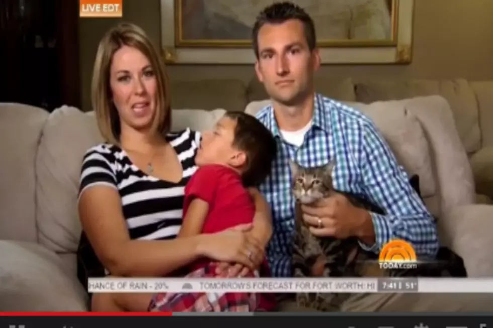 Little Boy Attacked By Dog Says His Cat Is A Hero [Video]