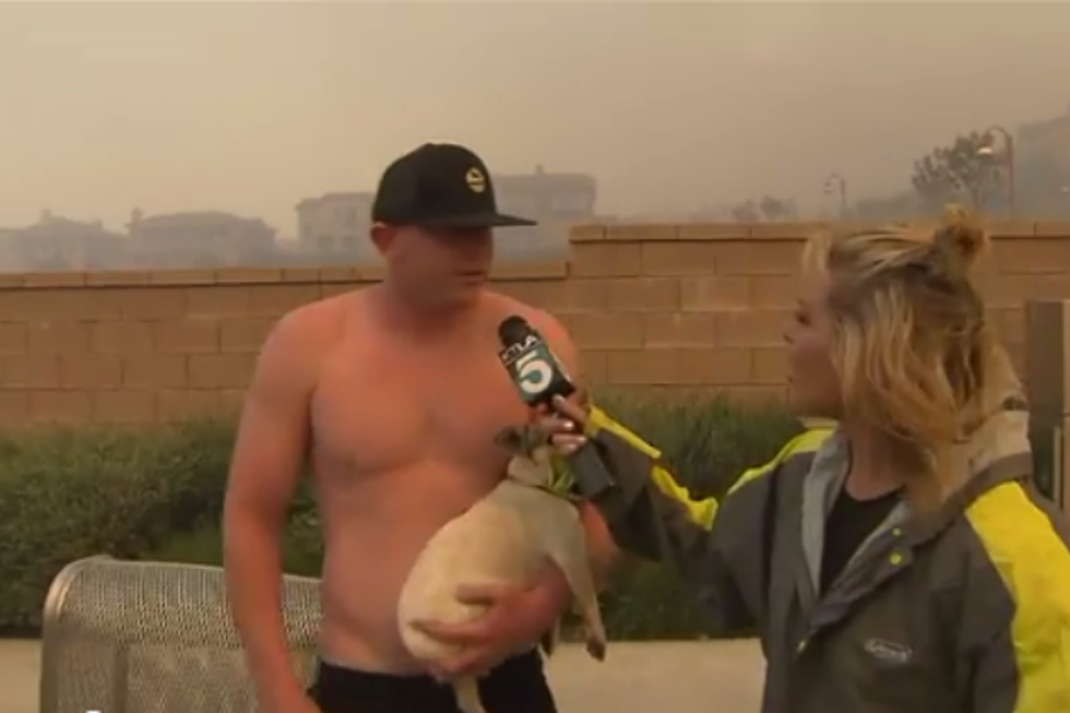 Shirtless Man Asks Out TV Reporter on Live TV [VIDEO]