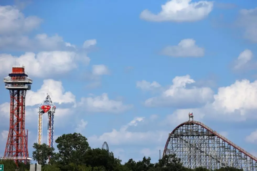 Tree Branch Derails Six Flags Roller Coaster