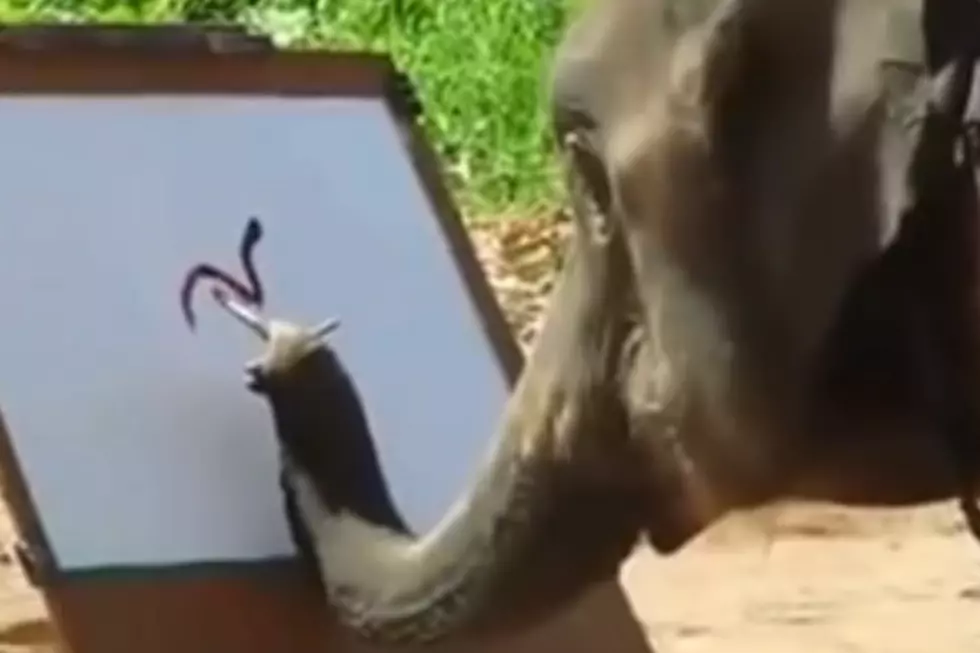 Elephant Paints Self Portrait [VIDEO]