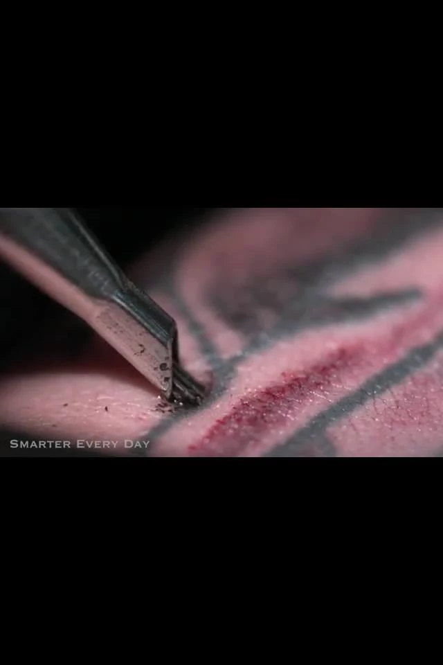 Tattoos in Slow Motion Very Gross Kinda Mesmerizing  WIRED