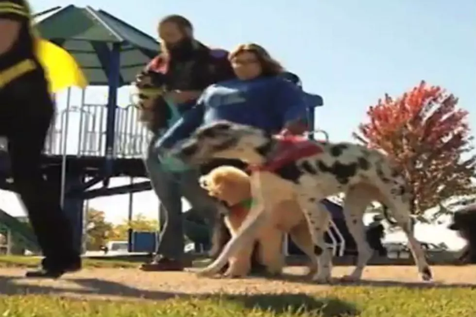 Grand Blanc Residents (And Their Best Friends) Get New Park [VIDEO]