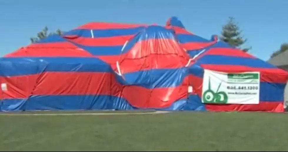 Missouri Family&#8217;s House Infested With Over 6,000 Spiders [VIDEO]