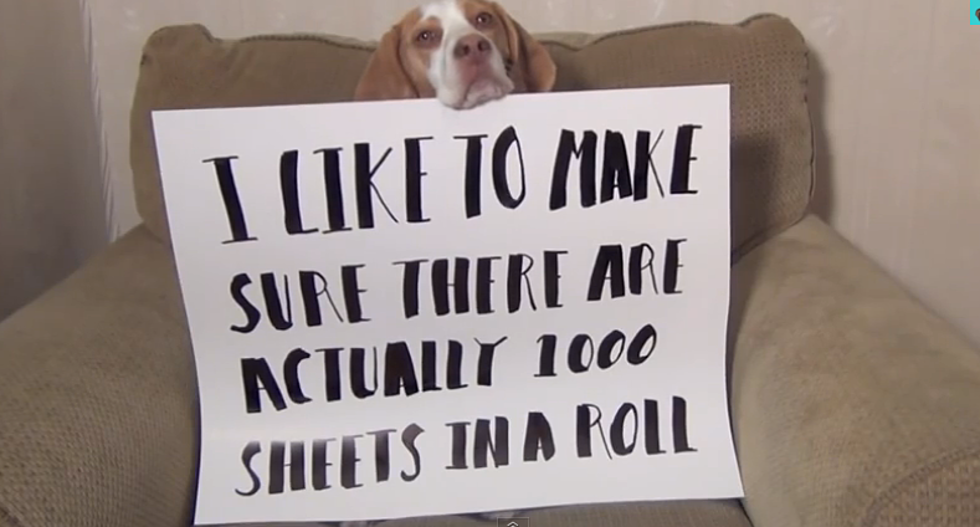 One Of The Best Dog-Shaming Videos Ever [VIDEO]