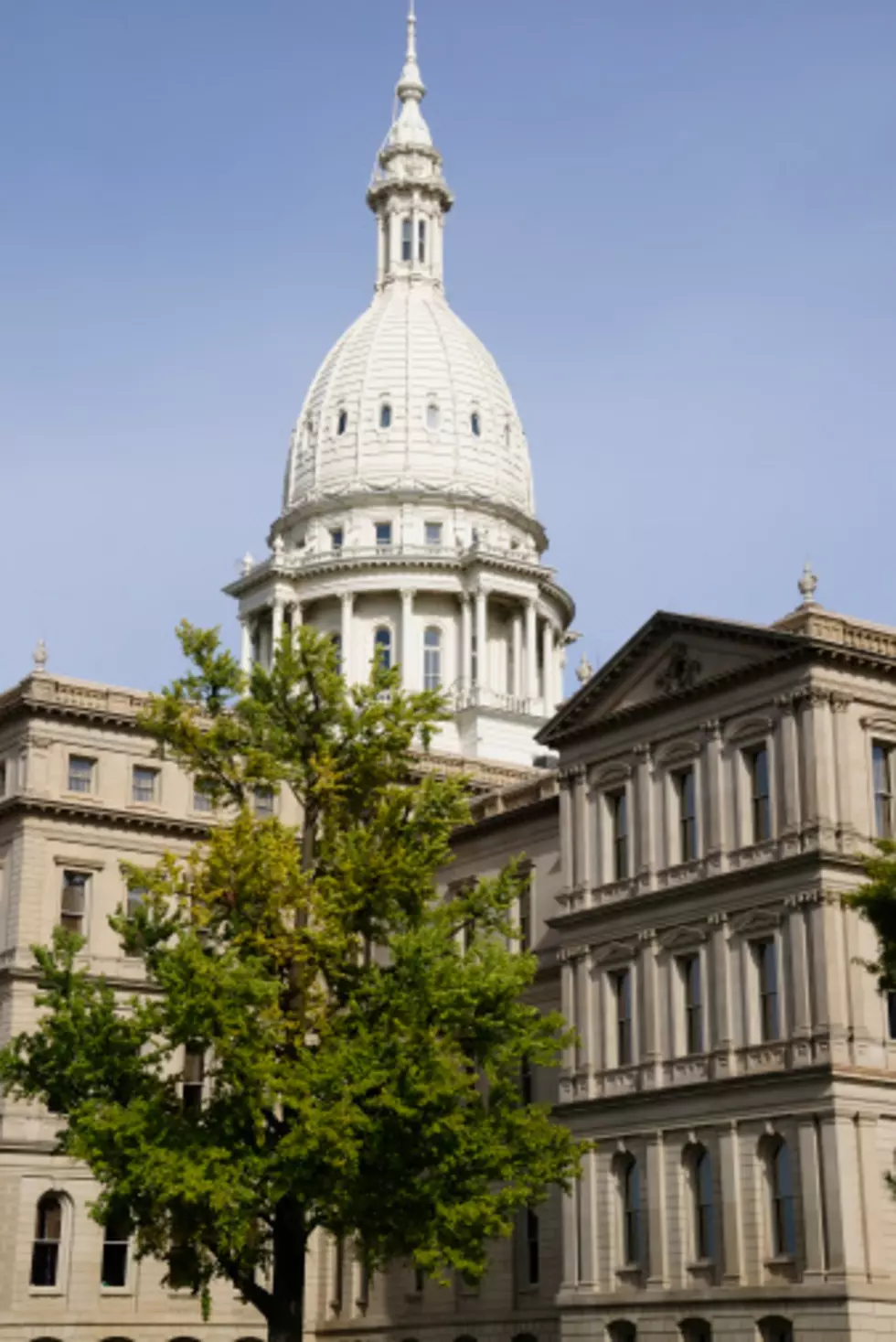 Satanic Temple Plans Display at Michigan Capitol [PHOTO]