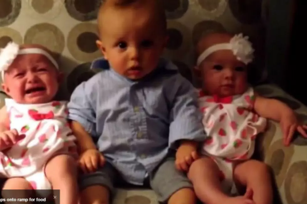 This Toddler is Totally Confused by Twins — And It’s Adorable! [VIDEO]