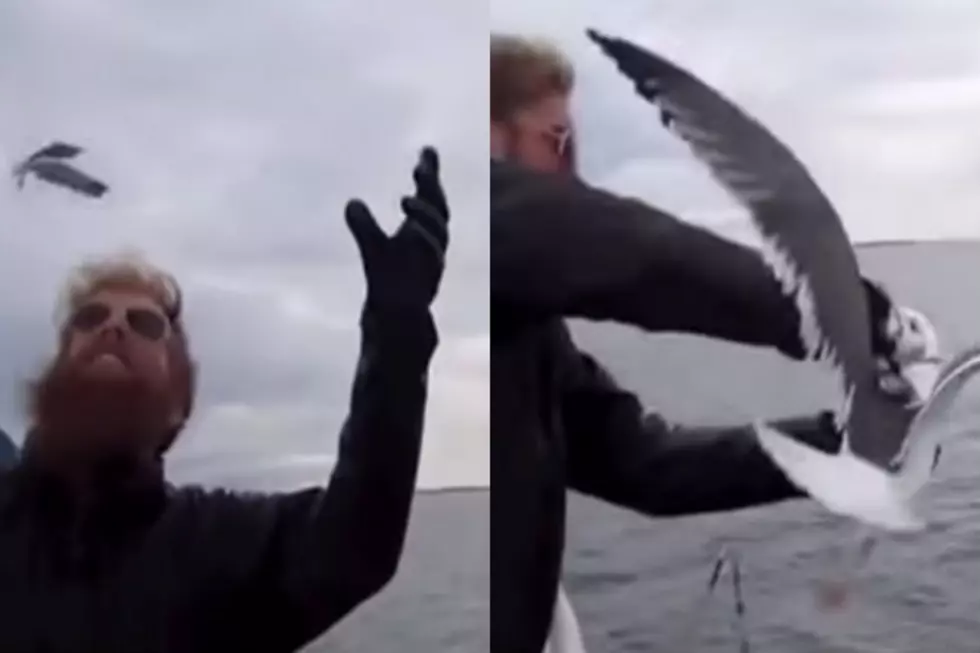 Man Pulls Flying Bird Right Out Of The Air [VIDEO]