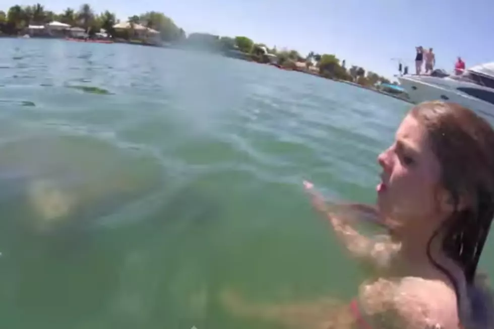 Girl On Spring Break Attacked By A Manatee? [VIDEO]