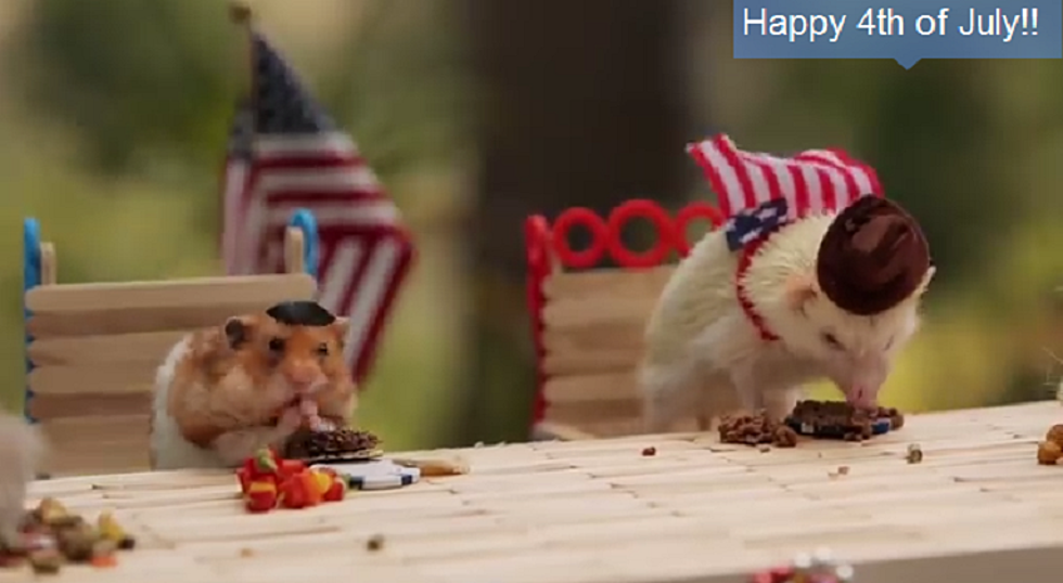 Tiny Hamster is Back for a 4th of July BBQ [VIDEO]
