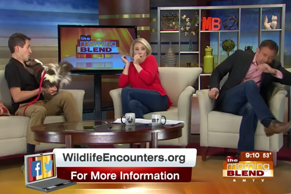 Wildlife Expert Pranks Morning Hosts on Live TV [VIDEO]