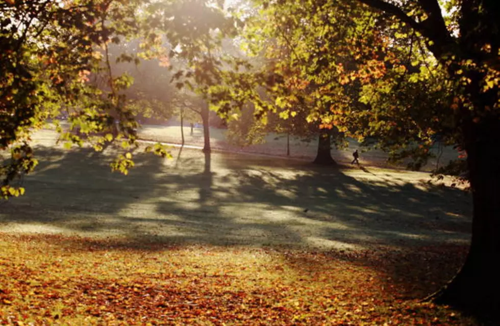 Where are the Best Places in Mid-Michigan to See the Fall Colors?