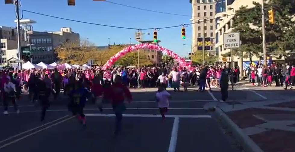 Making Strides Walk Against Breast Cancer in Flint [VIDEO]