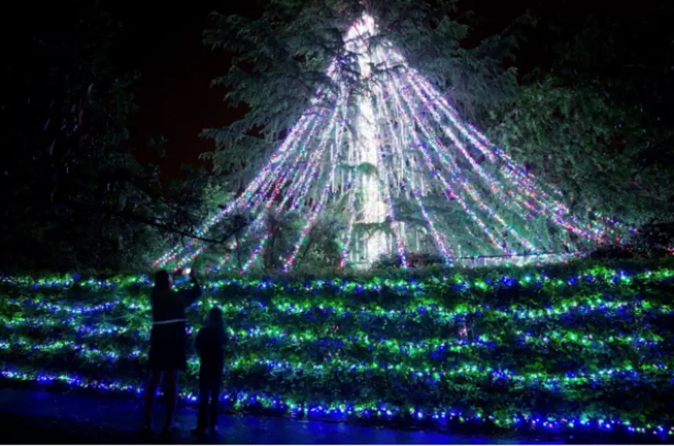 Epic Michigan Christmas Display Dimmed After Pilot’s Complaint