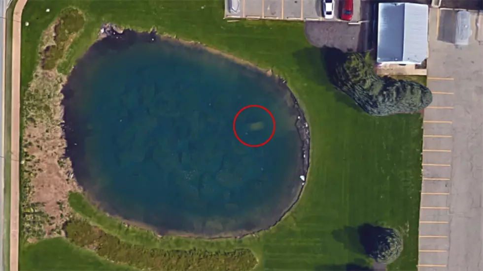 Weird Michigan News: Car With Body Inside Visible on Google Maps [PHOTO]
