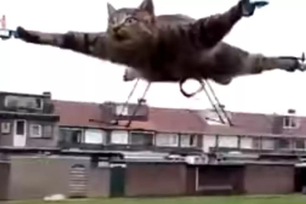 See the Creepy Cat-Copter