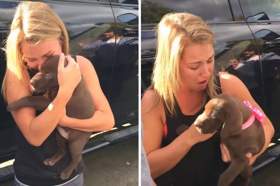 She Gets a Marriage Proposal + a New Puppy All in One Day [VIDEO]