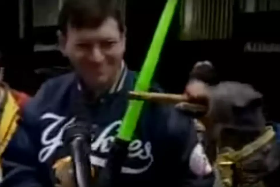 Triumph the Insult Comic Dog Roasts &#8216;Star Wars&#8217; Fans [NSFW VIDEO]