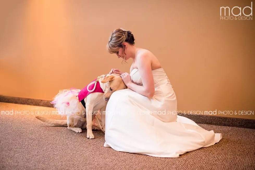 The Good News: Bride Takes Photos With Her Service Dog [PHOTOS]