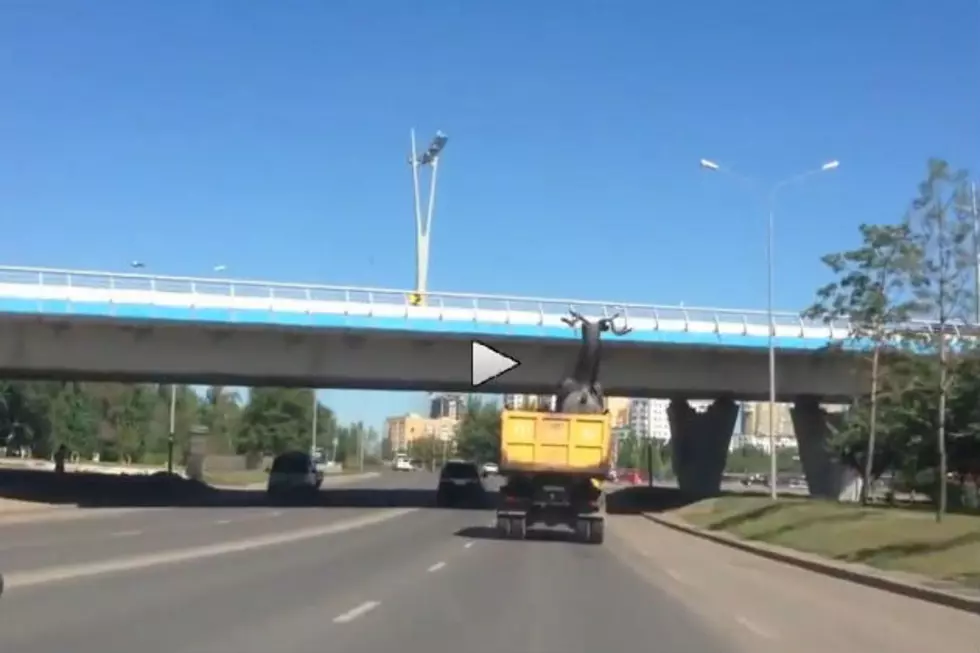 Watch a Dump Truck Carrying a Huge Deer Statue Crash Into a Bridge [VIDEO]
