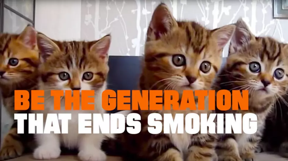 New Anti-Smoking Ad Targets Animal Lovers, Pet Owners [VIDEO]