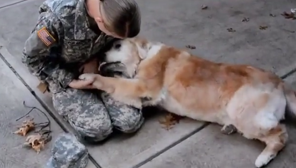 The Good News: Elderly Dog Cries at Soldier’s Homecoming [VIDEO]