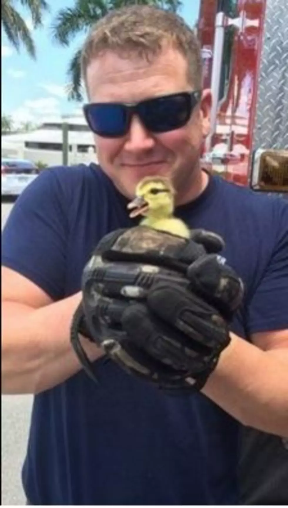 Cutest Rescue You Will See Today Courtesy of a Firefighter [PHOTO]