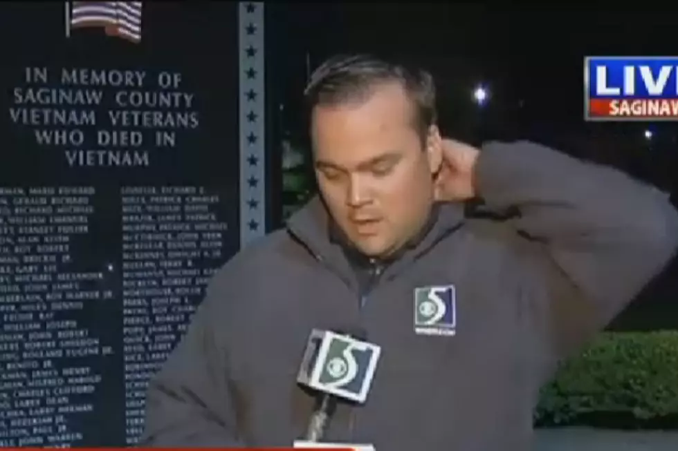 TV-5’s Andrew Keller Battles a Bug During Live Shot in Saginaw [VIDEO]