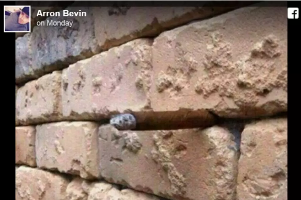 Here&#8217;s the Answer to the Brick-Wall Optical Illusion [PHOTO]