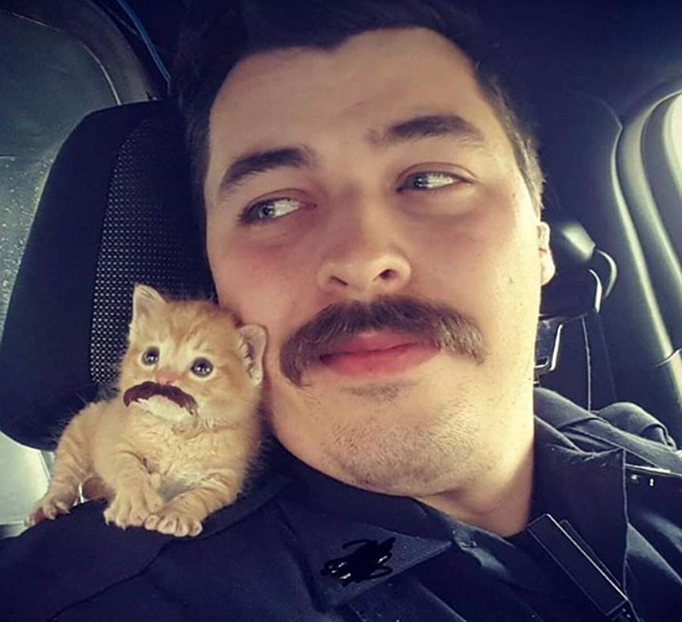 The Good News: South Carolina Cop Rescues Abandoned Animals on the Job [VIDEO]