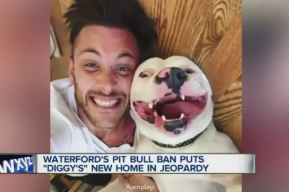 ‘Smiling Dog’ Diggy Owners Fight City of Waterford to Keep Adopted Dog [VIDEO]